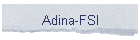 Adina-FSI