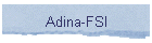 Adina-FSI