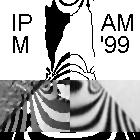 IPMAM99