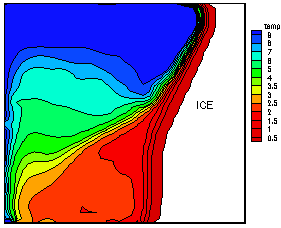 Evaluated temperature field - PIT