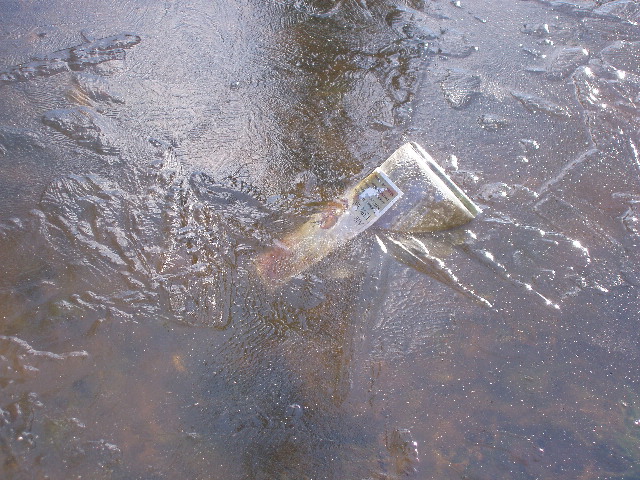 image10