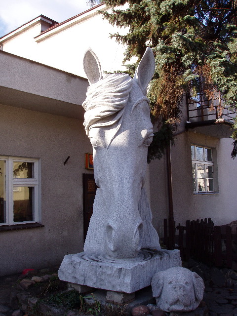 image7