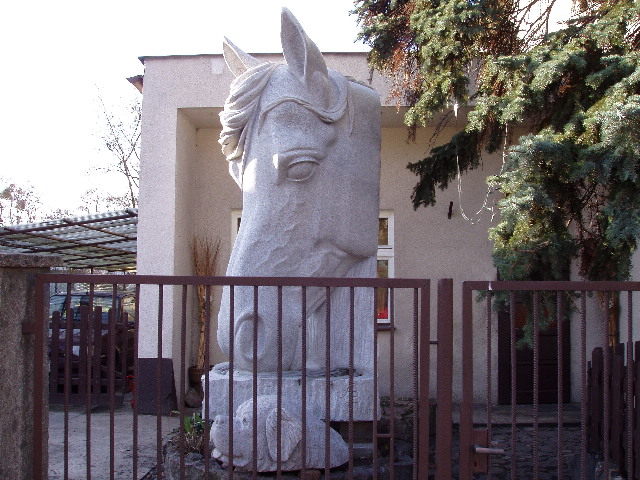 image8