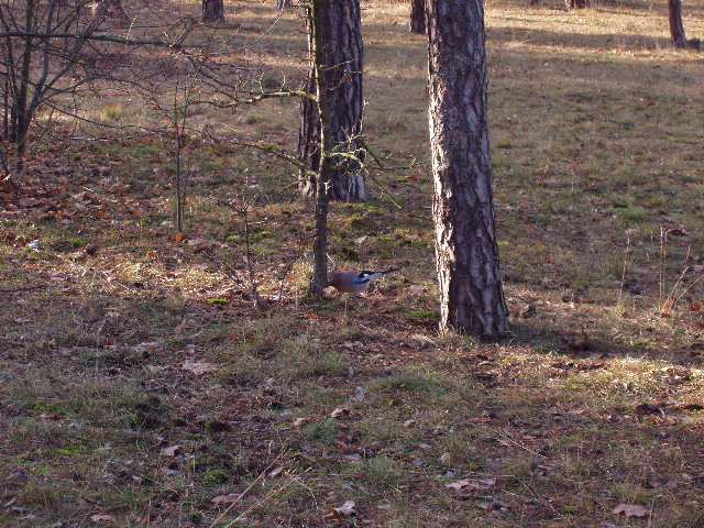 image30