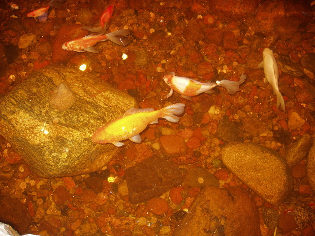 image96